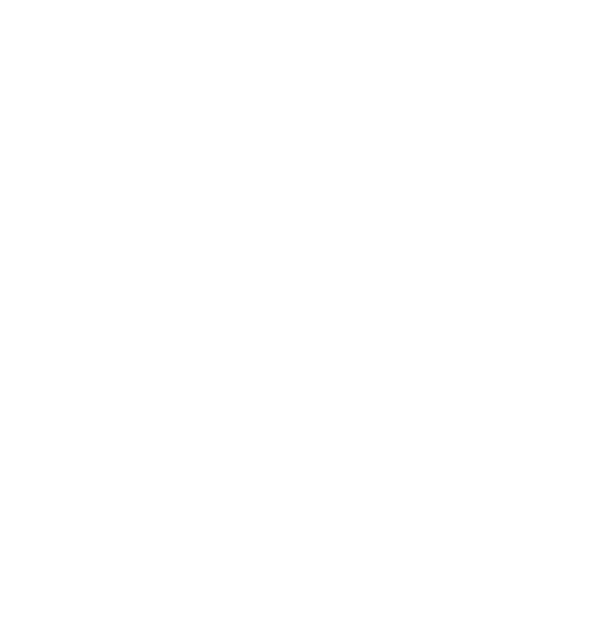 BVC Bird Icon