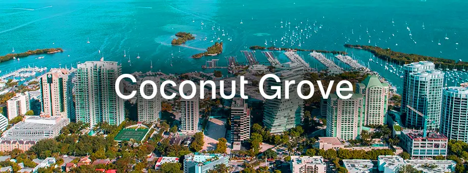 Coconut Groove